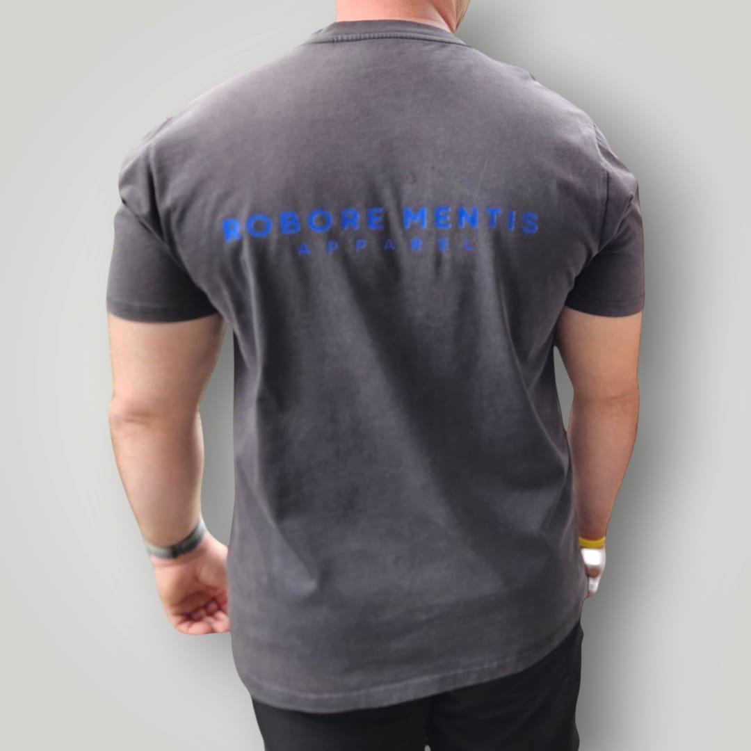 Diverse Fortis T-Shirt - Regular fit - blue - Robore Mentis online