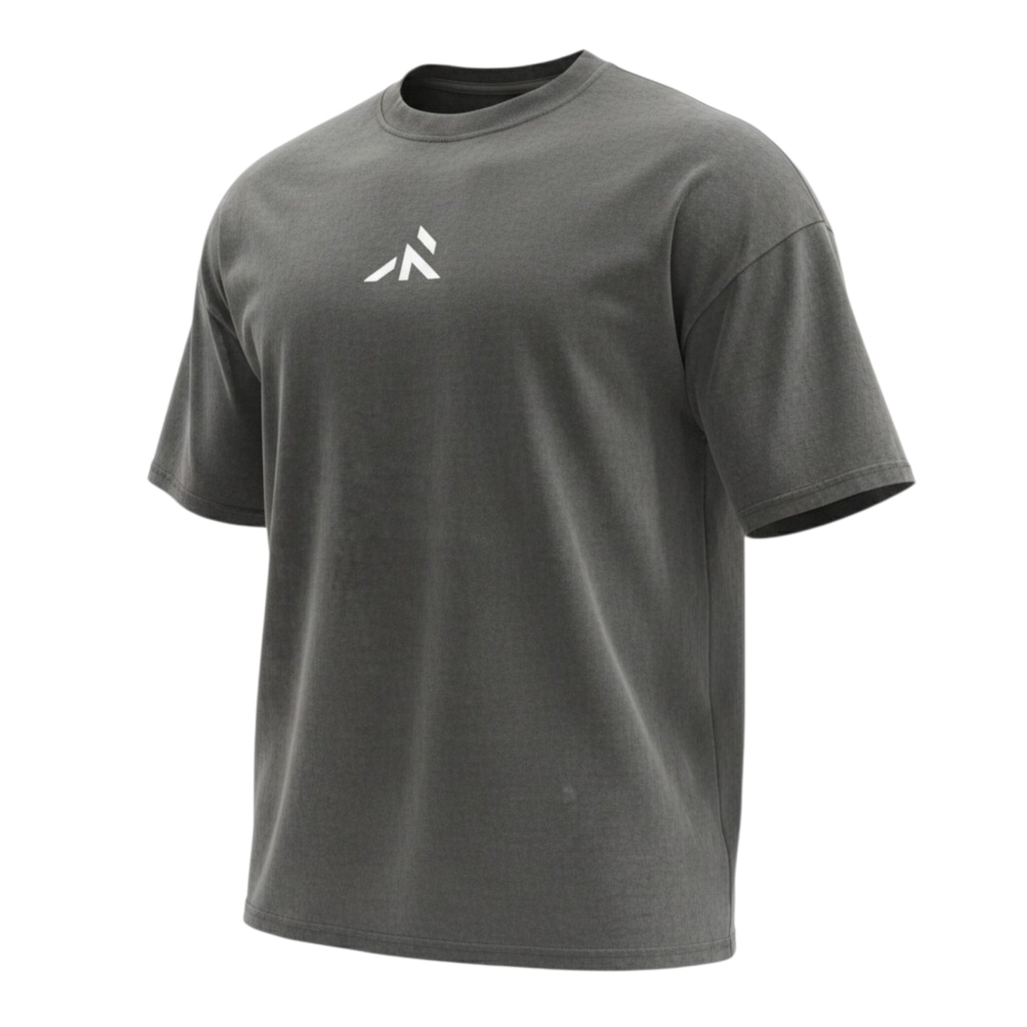 HERITAGE T-SHIRT - Oversized fit - Robore Mentis online 