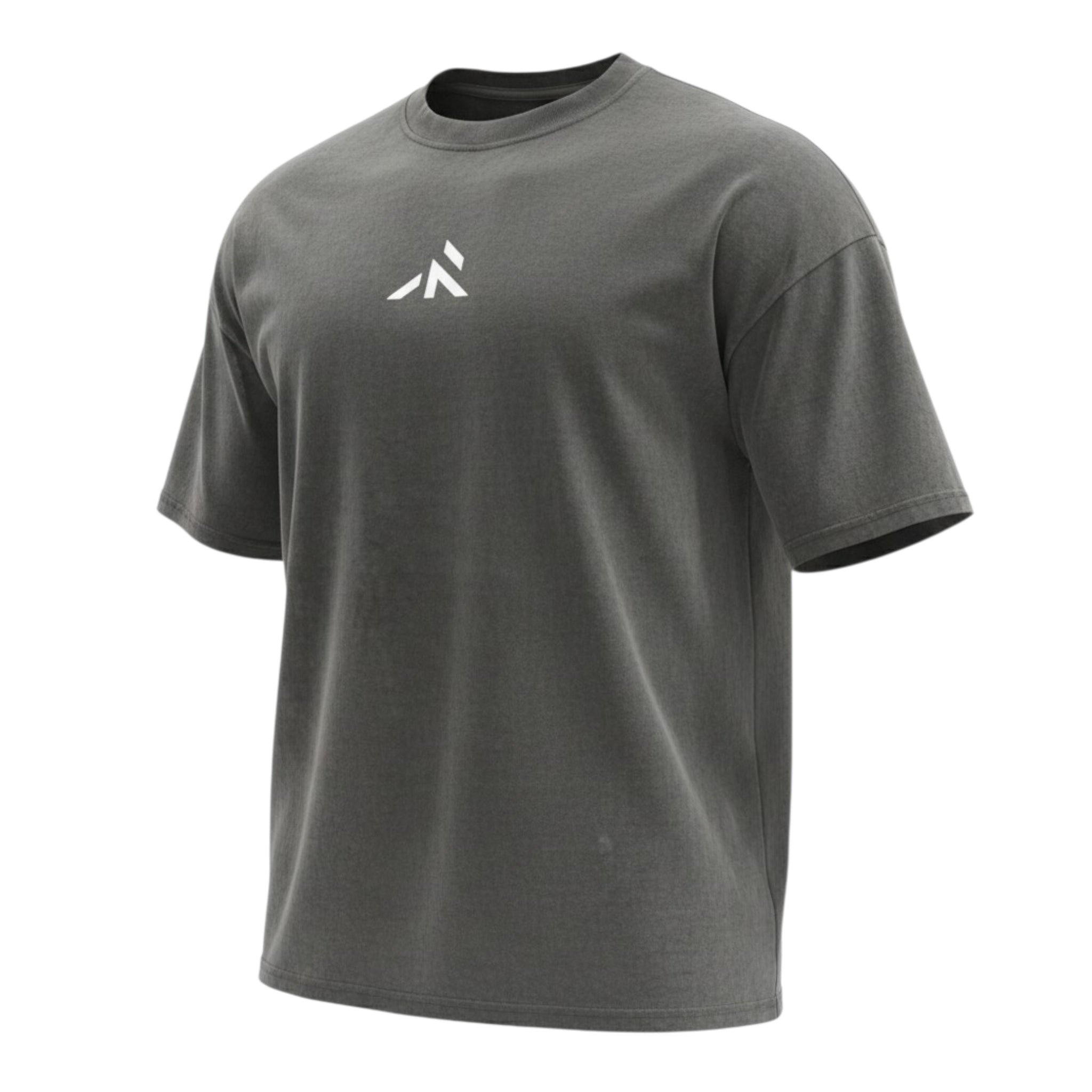 HERITAGE T-SHIRT - Oversized fit - Robore Mentis online 