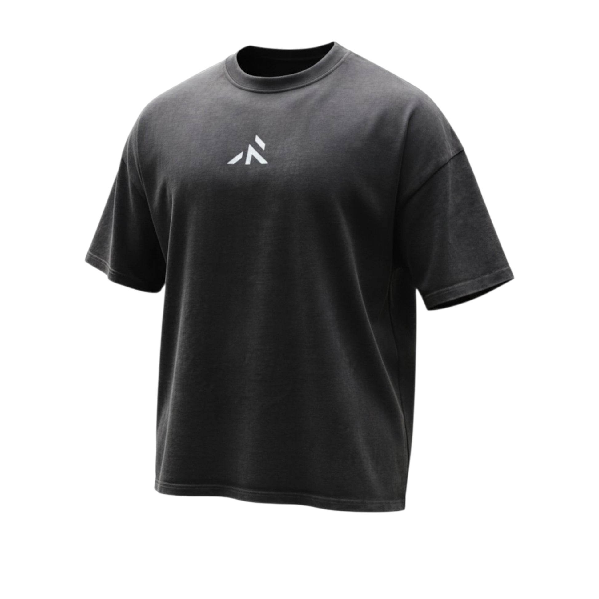 FORTIS T-SHIRT - Oversized fit - Robore Mentis online 