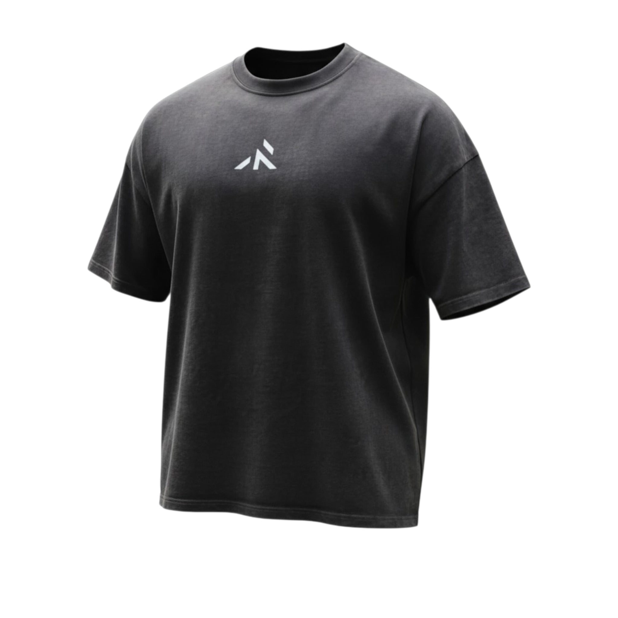 FORTIS T-SHIRT - Oversized fit - Robore Mentis online 