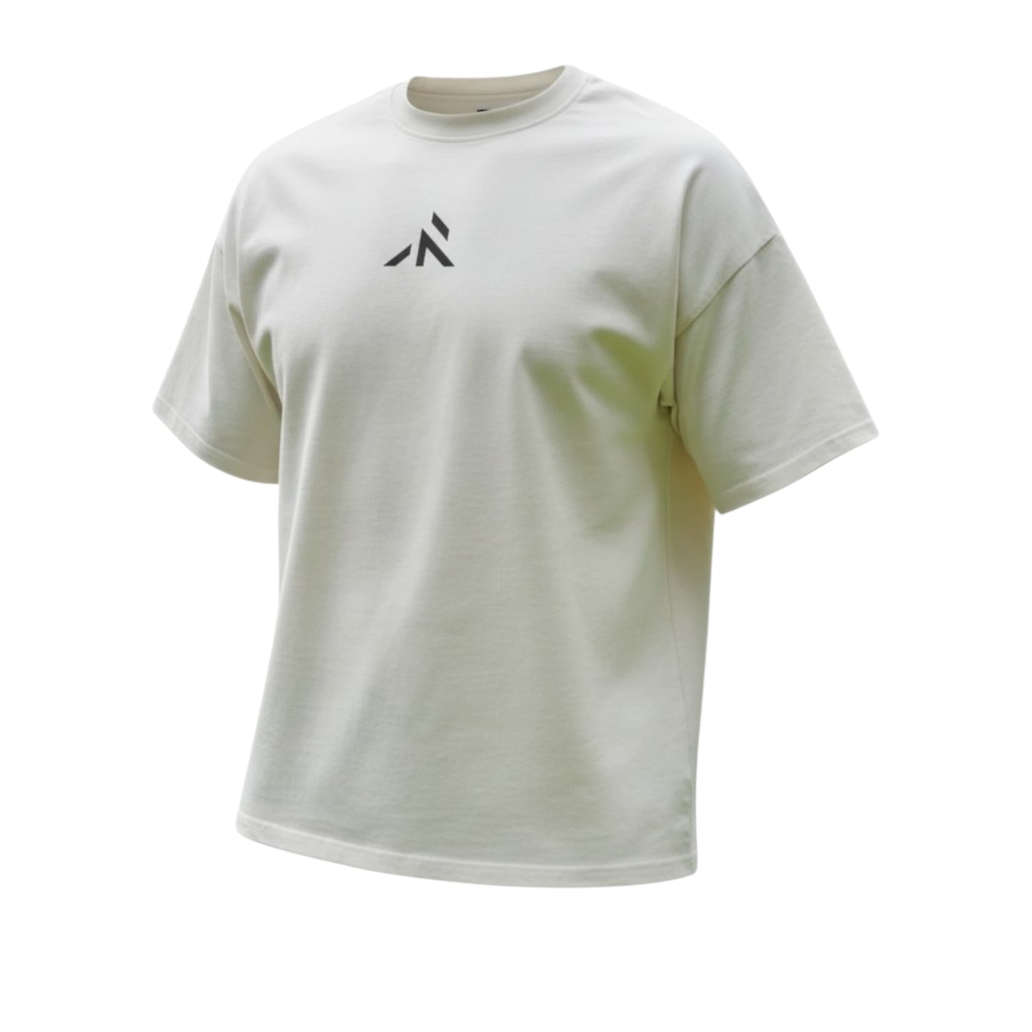 FORTIS T-SHIRT - Oversized fit - Robore Mentis online 
